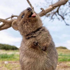 Meet your Posher, Kaylene